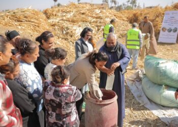 أطلقته IECD-Egypt.. تفاصيل مشروع “ريادة الأعمال الزراعية” التجريبي لدعم المشروعات الصغيرة والمتوسطة