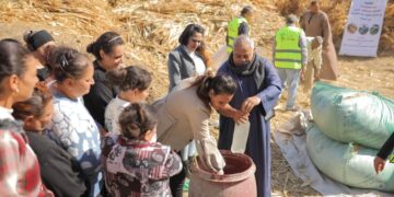 أطلقته IECD-Egypt.. تفاصيل مشروع “ريادة الأعمال الزراعية” التجريبي لدعم المشروعات الصغيرة والمتوسطة