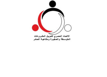 الاتحاد المصري لتمويل MSMEF يوقع بروتوكول تعاون مع دي اف كيه انترناشونال ايه اتش لدعم الأعضاء