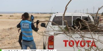 متطوعو Volunteer Hub يشاركون في مبادرة ‘الطريق الأخضر”