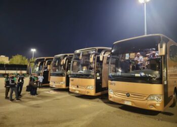 التضامن الاجتماعي: استلام 283 حافلة مطابقة للمواصفات الفنية استعداداً لتصعيد الحجاج إلى عرفات