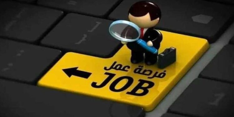 التضامن تعلن عن حاجتها لشغل الوظائف القيادية الخالية بالوزارة