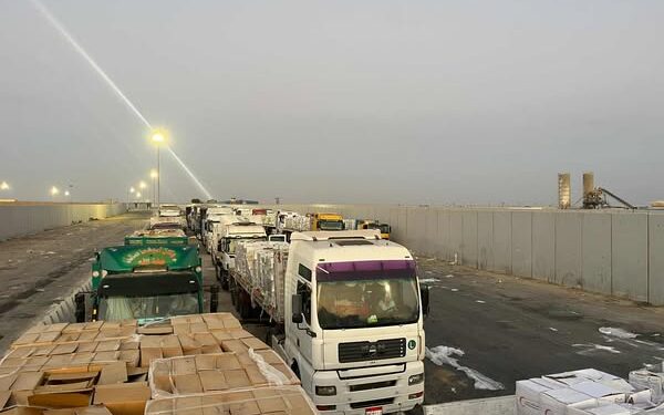 الهلال الأحمر المصري يدفع بـ 3200 طن مساعدات إنسانية عاجلة في قافلة «زاد العزة» الـ 26 إلى غزة 1 الهلال الأحمر المصري يدفع بـ 3200 طن مساعدات إنسانية عاجلة في قافلة «زاد العزة» الـ 26 إلى غزة