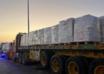 الهلال الأحمر المصري يدفع بأكثر من 1500 طن مساعدات غذائية وإغاثية وطبية إلى غزة