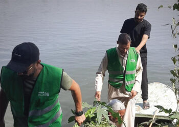 بنك الطعام المصري عضو التحالف الوطني يواصل جهود الإغاثة لدعم المتضررين من فيضان النيل بالمنوفية