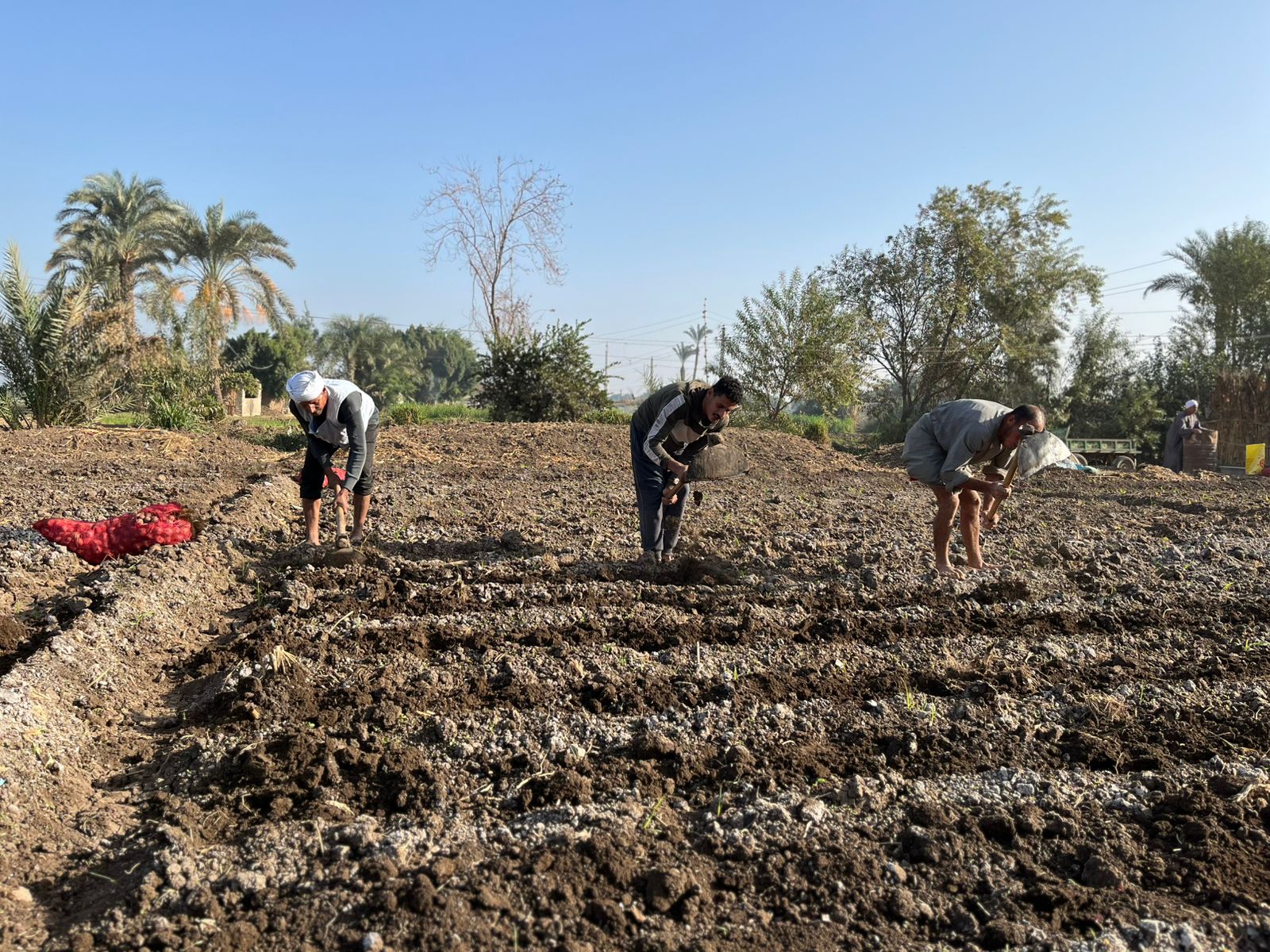 الهيئة القبطية الإنجيلية للخدمات الاجتماعية تواصل تنفيذ أنشطتها التنموية والزراعية والصحية بعدد من المحافظات 6 سيلسشسلسشي