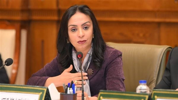 وزيرة التضامن تتابع تداعيات حادث حريق سوق الخواجات بالمنصورة وتوجه بصرف مساعدات مالية 1 وزيرة التضامن تتابع تداعيات حادث حريق سوق الخواجات بالمنصورة وتوجه بصرف مساعدات مالية