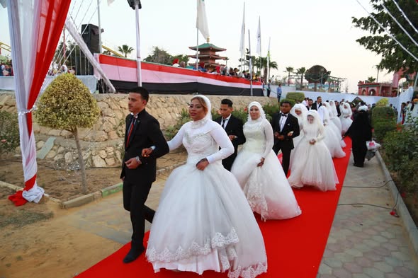 سليسسشليشس