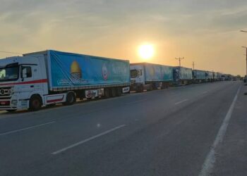 التحالف الوطني للعمل الأهلي التنموي يسيّر 19 شاحنة ألبان أطفال بوزن 9.5 طن إلى قطاع غزة