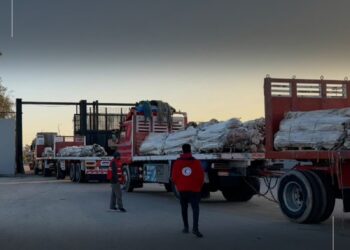 الهلال الأحمر المصري يدفع بـ 130 ألف سلة غذائية و 22 ألف قطعة ملابس عبر قافلة «زاد العزة» الـ 99