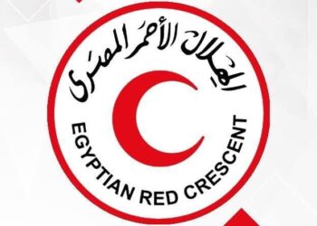 مجلس وزراء الشؤون الاجتماعية العرب بـ"عمان" يشيد بالهلال الأحمر المصري في تقديم المساعدات للشعب الفلسطيني 15 مجلس وزراء الشؤون الاجتماعية العرب بـ”عمان” يشيد بالهلال الأحمر المصري في تقديم المساعدات للشعب الفلسطيني