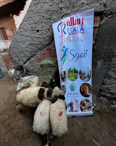 جمعية رسالة تنفذ 53 مشروعًا للتمكين الاقتصادي بعدد من محافظات الجمهورية 2 شسيلشسلسيش