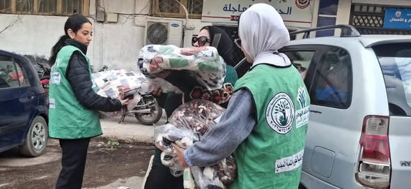 شلشسيشسيليس Copy