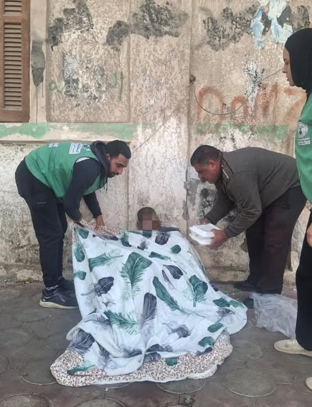 شلشيسلشسيلسي Copy