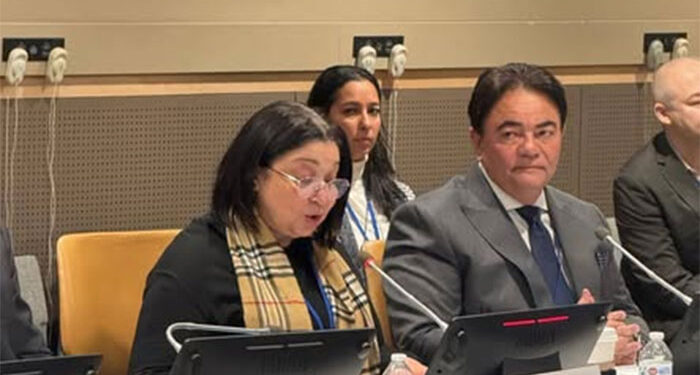 نائبة وزيرة التضامن تشارك في حدث دولي رفيع المستوى بنيويورك حول العدالة والتنمية الاجتماعية 1 نائبة وزيرة التضامن تشارك في حدث دولي رفيع المستوى بنيويورك حول العدالة والتنمية الاجتماعية