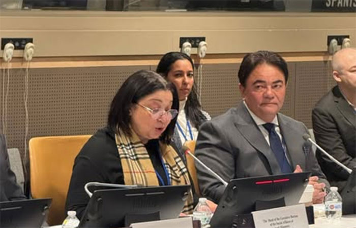 نائبة وزيرة التضامن تشارك في حدث دولي رفيع المستوى بنيويورك حول العدالة والتنمية الاجتماعية