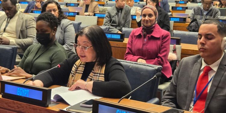 نائبة وزيرة التضامن تلقي كلمة مصر خلال فعاليات أعمال الدورة الـ 64 للجنة التنمية الاجتماعية 1 نائبة وزيرة التضامن تلقي كلمة مصر خلال فعاليات أعمال الدورة الـ 64 للجنة التنمية الاجتماعية