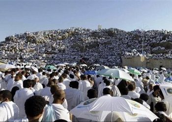 التضامن: مد تحصيل الدفعة الثانية للفائزين بقرعة حج الجمعيات الأهلية لموسم 1447هـ – 2026م للخميس