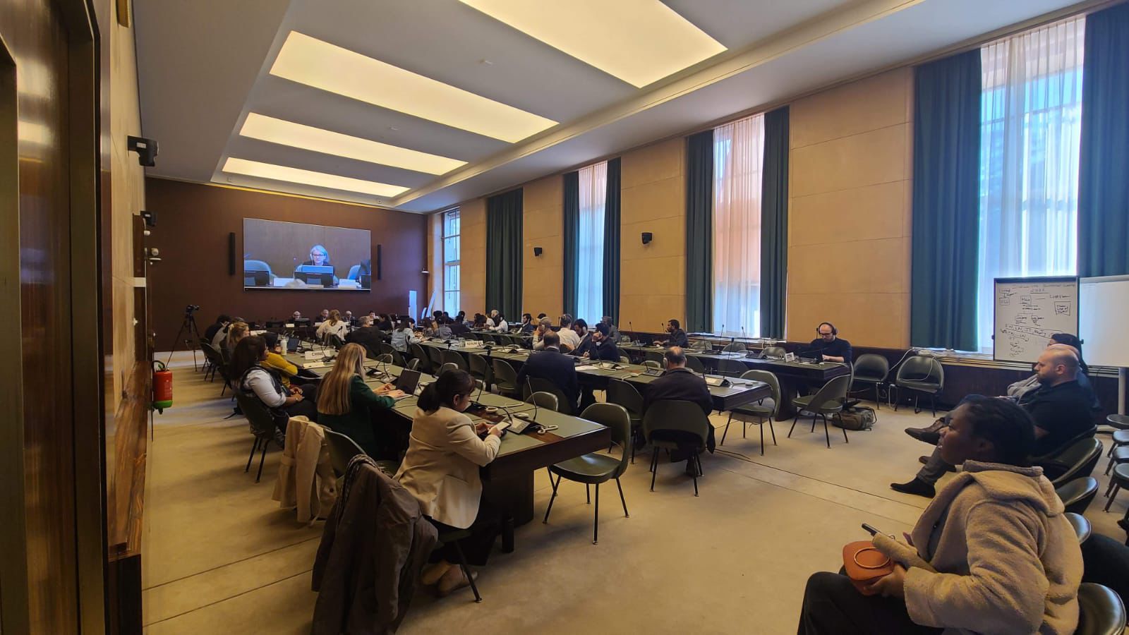 من مقر الأمم المتحدة بجنيف.. ماعت تحذر من إطالة الحرب في اليمن بسبب التدخلات الخارجية 2 سيبسيبسيبسيب