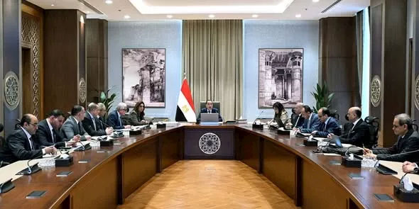 مجلس الوزراء: حزمة إجراءات اجتماعية واقتصادية للحفاظ على اقتصاد مصر ومصالح مواطنيها
