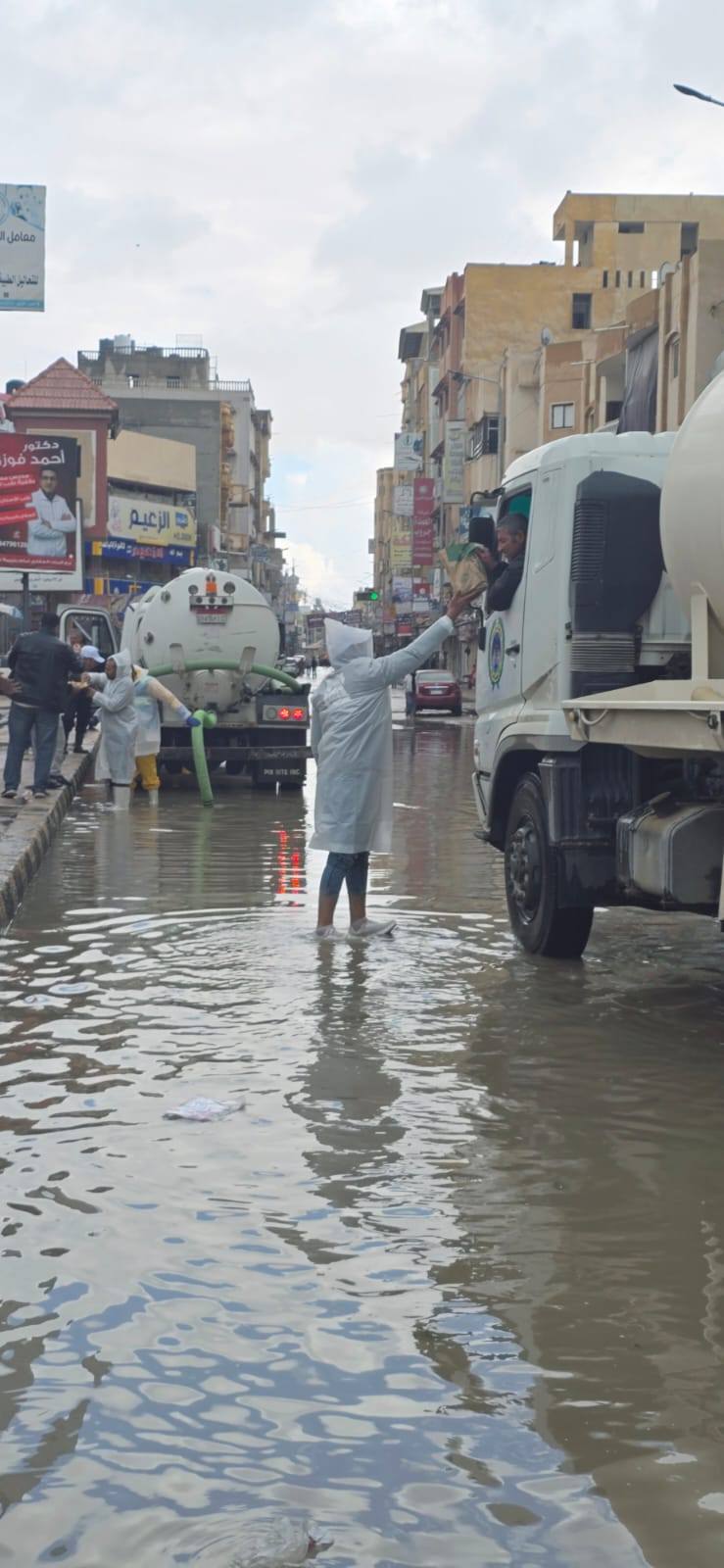 سيليسشليسشل