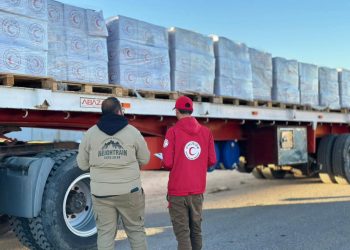 «زاد العزة» تتواصل.. الهلال الأحمر المصري يدفع بـ 2,820 طنًا من المساعدات الإنسانية لدعم الأشقاء الفلسطينيين 2 «زاد العزة» تتواصل.. الهلال الأحمر المصري يدفع بـ 2,820 طنًا من المساعدات الإنسانية لدعم الأشقاء الفلسطينيين